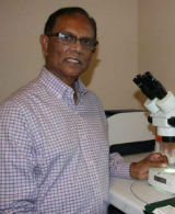 bandula